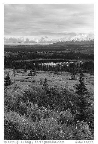 Tundra and Granite Mountain in autumn, Hayes Range. Alaska, USA