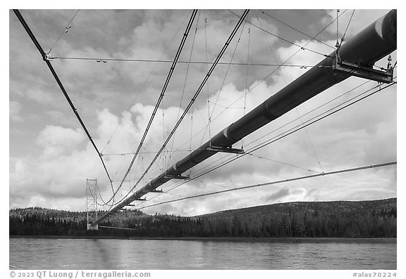 Trans-Alaska pipeline crossing Tanana River, Big Delta. Alaska, USA (black and white)