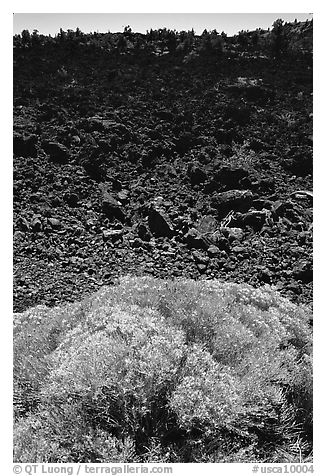 Sage and slope covered with lava, Lava Beds National Monument. Lava Beds National Monument, California, USA (black and white)