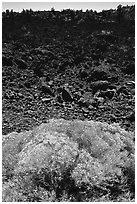 Sage and slope covered with lava, Lava Beds National Monument. Lava Beds National Monument, California, USA ( black and white)