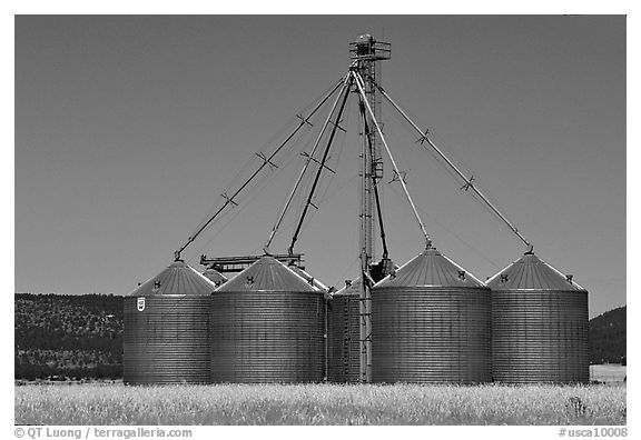 Agricultural silos. California, USA (black and white)