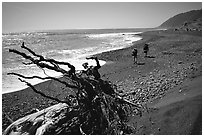 Driftwood and hikers, Lost Coast. California, USA (black and white)