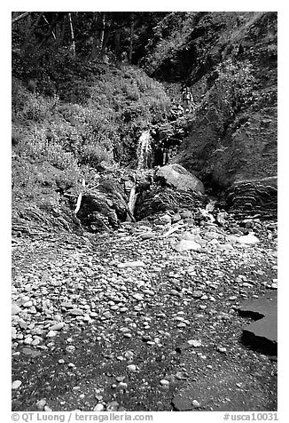 Hikers exploring a cascade, Lost Coast. California, USA (black and white)
