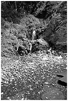 Hikers exploring a cascade, Lost Coast. California, USA (black and white)