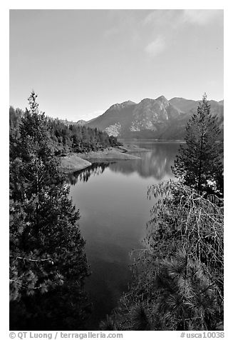 Shasta Unit,  Wiskeytown Shasta Trinity NRA. California, USA (black and white)