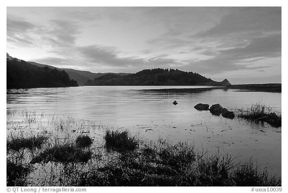 Humbolt Lagoon, sunrise. California, USA (black and white)