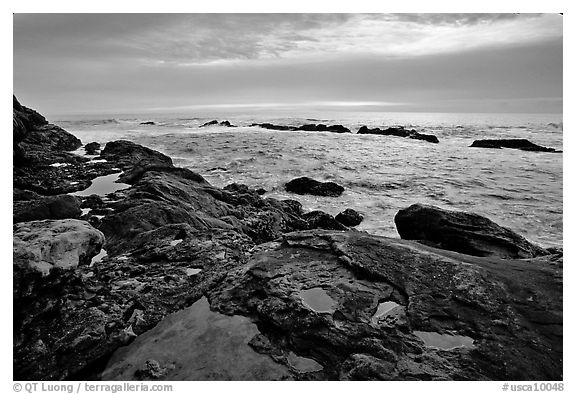 Tide pool with sea stars at sunset, Weston Beach. Point Lobos State Preserve, California, USA (black and white)