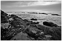 Tide pool with sea stars at sunset, Weston Beach. Point Lobos State Preserve, California, USA (black and white)