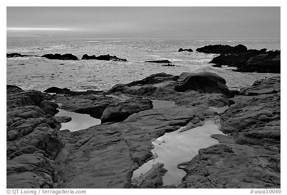 Tidepools, sunset, Weston Beach. Point Lobos State Preserve, California, USA (black and white)
