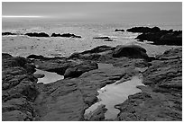 Tidepools, sunset, Weston Beach. Point Lobos State Preserve, California, USA (black and white)