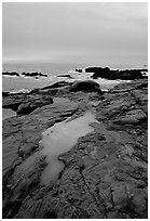 Tidal pools, sunset, Weston Beach. Point Lobos State Preserve, California, USA ( black and white)