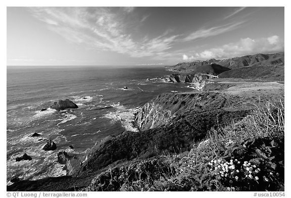 Coastline and Bixby creek bridge, late afternoon. Big Sur, California, USA (black and white)