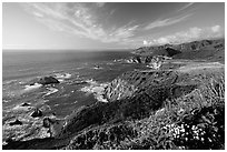 Coastline and Bixby creek bridge, late afternoon. Big Sur, California, USA ( black and white)