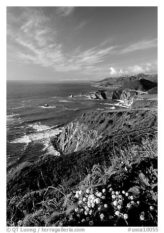 Coastline and Bixby creek bridge, late afternoon. Big Sur, California, USA (black and white)