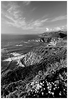 Coastline and Bixby creek bridge, late afternoon. Big Sur, California, USA (black and white)