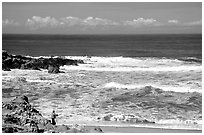 Fisherman, Bean Hollow State Beach. San Mateo County, California, USA (black and white)