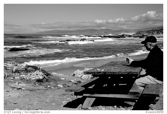 Man reading on a picnic table, Bean Hollow State Beach. San Mateo County, California, USA