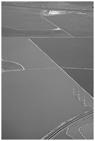 Aerial view of marsh patches in the South Bay. Redwood City,  California, USA ( black and white)