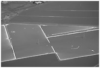 Aerial view of salt pond colorful patches. Redwood City,  California, USA ( black and white)