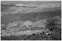 Group of Hikers descending slopes, Mt Diablo State Park. California, USA (black and white)