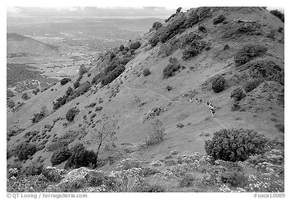 Group of Hikers on a distant trail, Mt Diablo State Park. California, USA (black and white)
