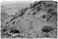 Group of Hikers on a distant trail, Mt Diablo State Park. California, USA ( black and white)