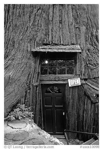 Entrance of the World Famous Tree House, near Leggett. California, USA (black and white)