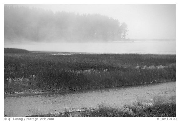 Humbolt Lagoon in the fog. California, USA (black and white)