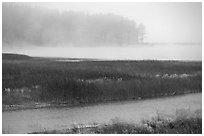 Humbolt Lagoon in the fog. California, USA (black and white)