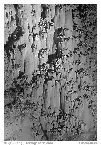 Rare cave formations, Mitchell caverns. Mojave National Preserve, California, USA