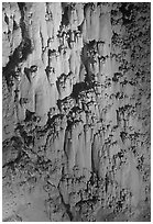 Rare cave formations, Mitchell caverns. Mojave National Preserve, California, USA (black and white)