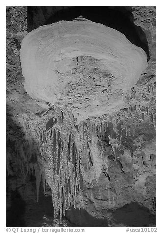 Rare parachute cave formations, Mitchell caverns. Mojave National Preserve, California, USA