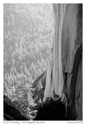 Rock wall and forest, the Needles,  Giant Sequoia National Monument. California, USA