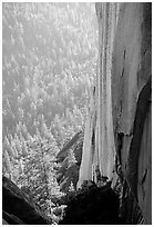 Rock wall and forest, the Needles,  Giant Sequoia National Monument. California, USA ( black and white)