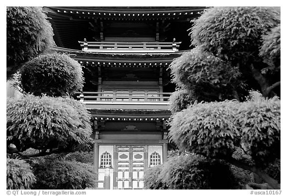 Pagoda in Japanese Garden. San Francisco, California, USA (black and white)