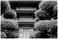 Pagoda in Japanese Garden. San Francisco, California, USA (black and white)