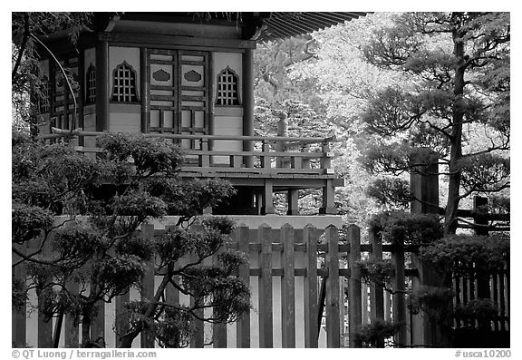 Pagoda in Japanese Garden. San Francisco, California, USA