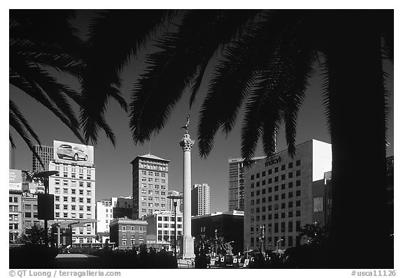 Union square framed by palm trees, afternoon. San Francisco, California, USA