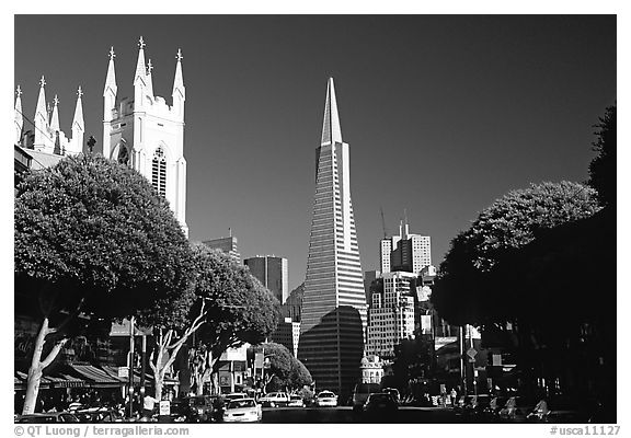 Cathedral and Transamerica Pyramid, North Beach, afternoon. San Francisco, California, USA
