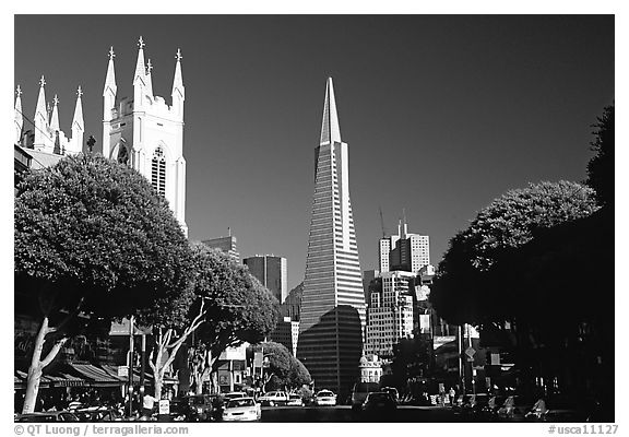 Cathedral and Transamerica Pyramid, North Beach, afternoon. San Francisco, California, USA (black and white)