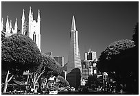Cathedral and Transamerica Pyramid, North Beach, afternoon. San Francisco, California, USA (black and white)