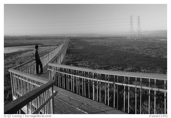 Man standing on boardwalk, Palo Alto Baylands. Palo Alto,  California, USA (black and white)