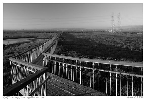 Boardwalk leading to edge of the Bay, Palo Alto Baylands. Palo Alto,  California, USA