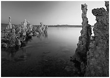 Tufa spires and Mono Lake at dusk. Mono Lake, California, USA (black and white)