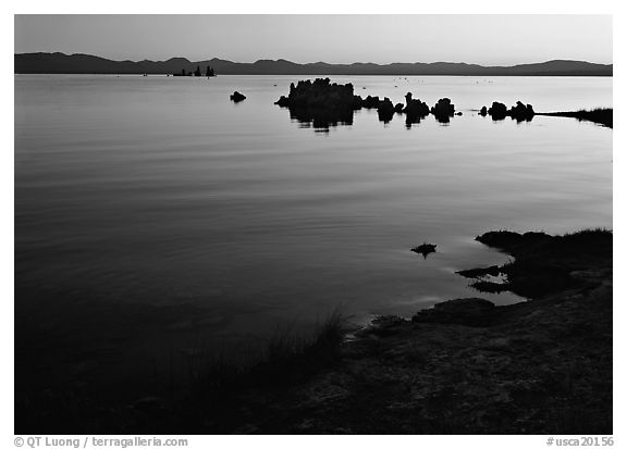 Tufa towers at sunrise. Mono Lake, California, USA (black and white)