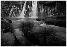 Grasses, stream and wide waterfall, Burney Falls State Park. California, USA (black and white)