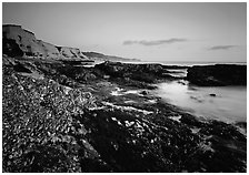 Mussel-covered rocks, seaweed and cliffs, sunset. Point Reyes National Seashore, California, USA (black and white)