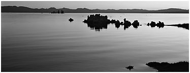 Color gradient on Mono Lake at sunrise. Mono Lake, California, USA (Panoramic black and white)