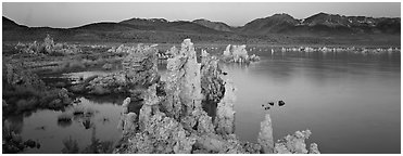 Holga California South Tufas Fine Art Print Landscape American West Black /& White Photography Mono Lake
