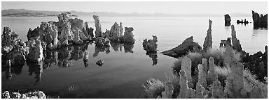 Lake tufa scenery. Mono Lake, California, USA (Panoramic black and white)